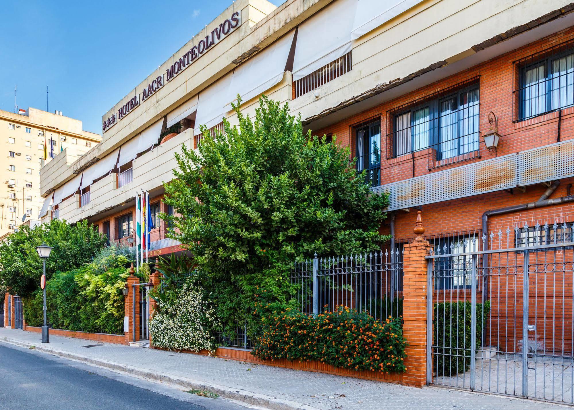 Aacr Hotel Monteolivos Севілья Екстер'єр фото